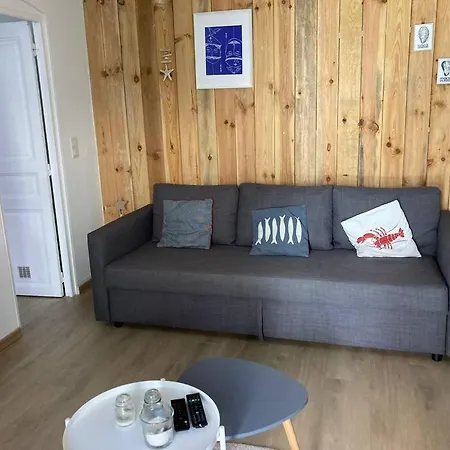Apartman Cosy Confort Au Coeur De Ville. *