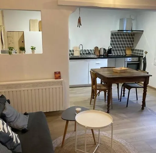 Cosy Confort Au Coeur De Ville. Apartment *